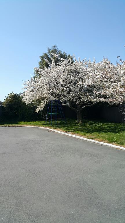 Lilybrook Motel Rangiora Luaran gambar