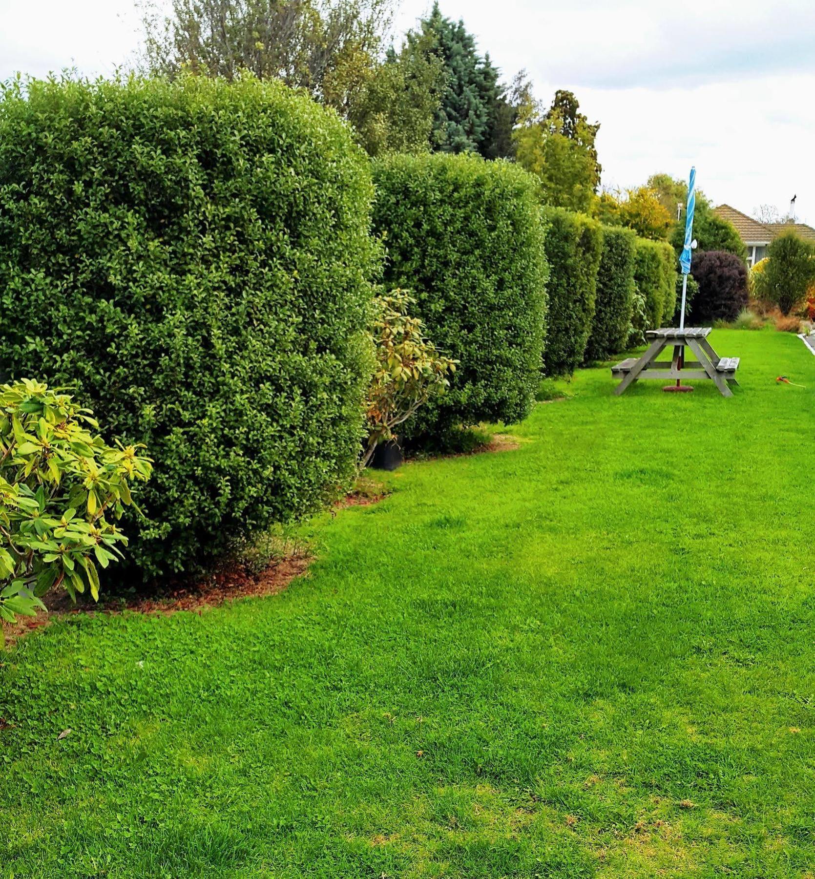 Lilybrook Motel Rangiora Luaran gambar